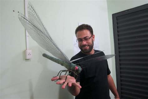 largest insect that ever lived.